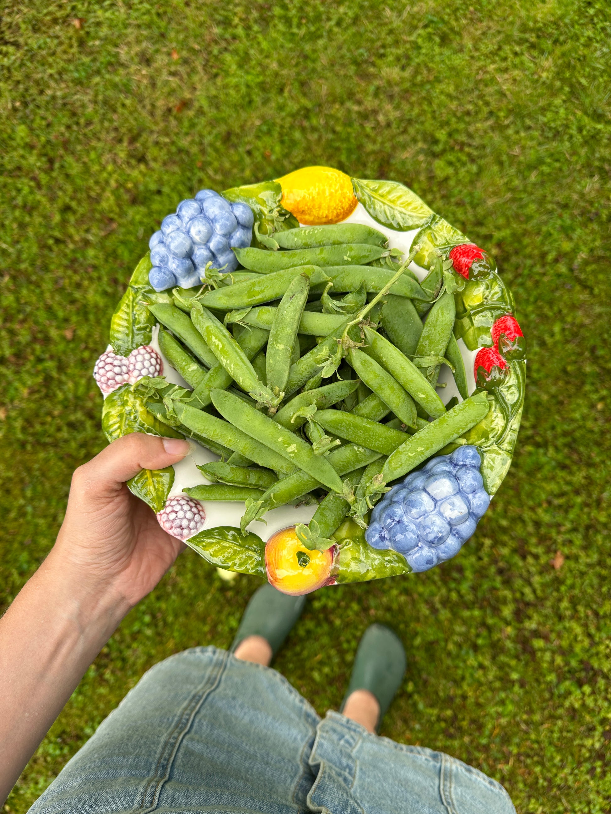 Skål med frugtmotiver – Ø25