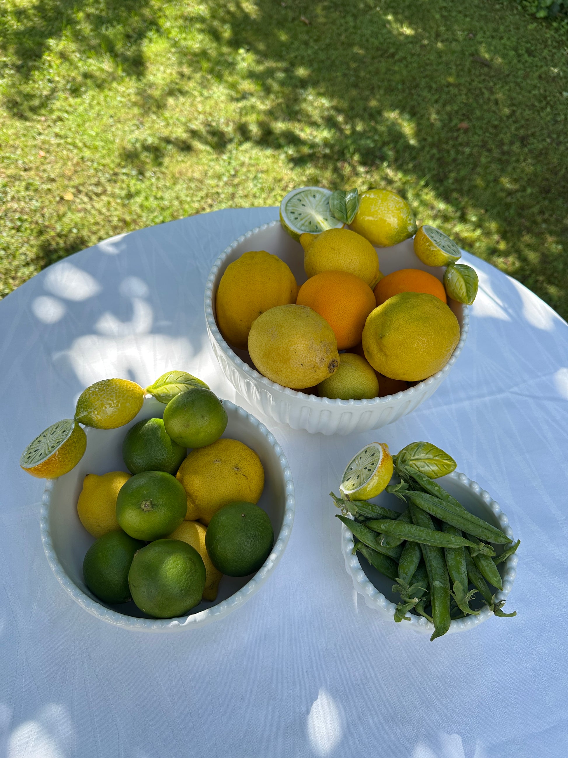 Skål med citroner – Stor – Ø23