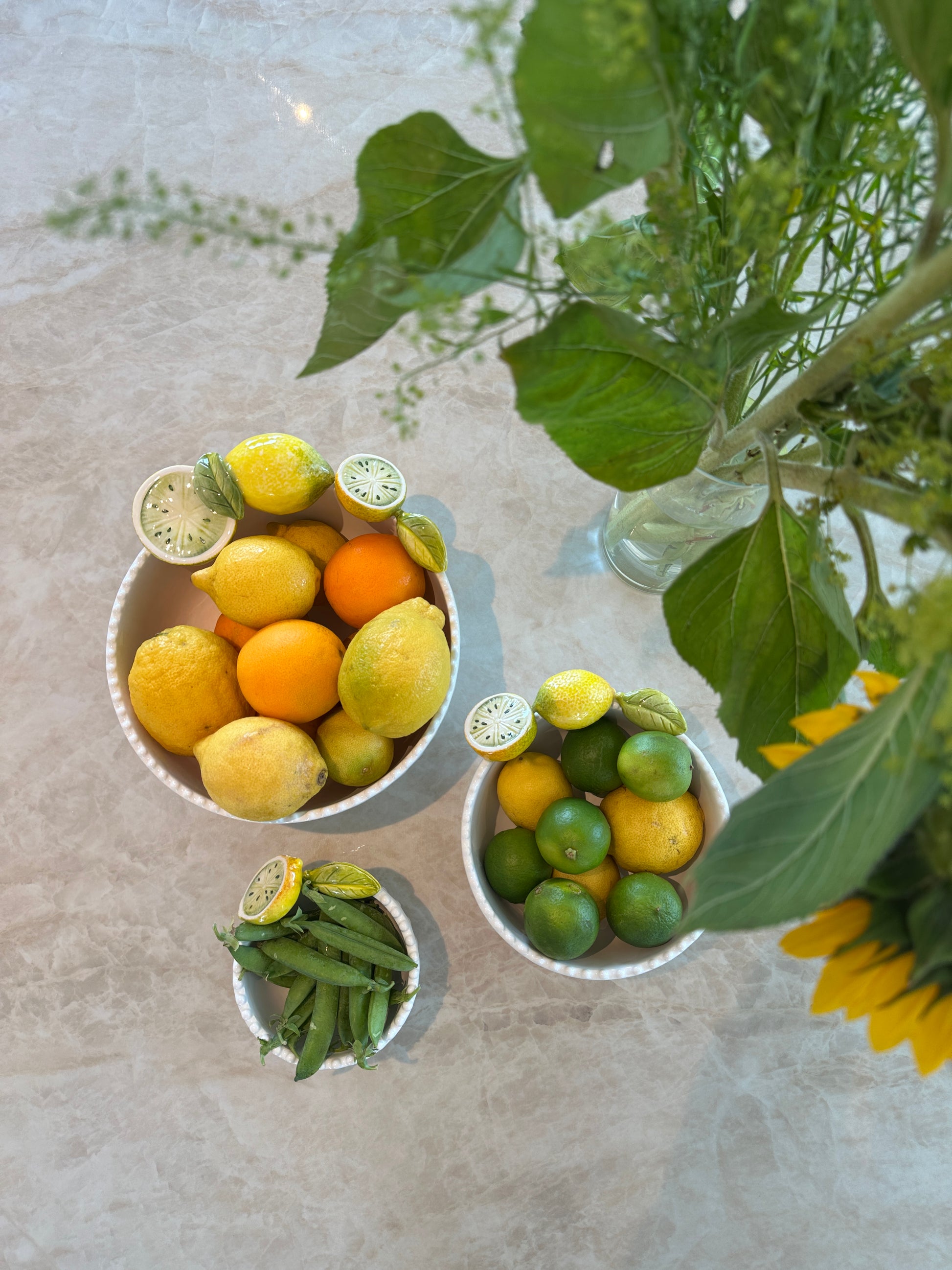 Skål med citroner – Mellem – Ø18